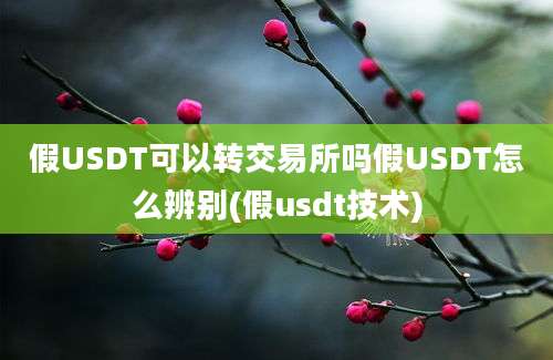 假USDT可以转交易所吗假USDT怎么辨别(假usdt技术)