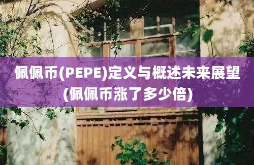 佩佩币(PEPE)定义与概述未来展望(佩佩币涨了多少倍)