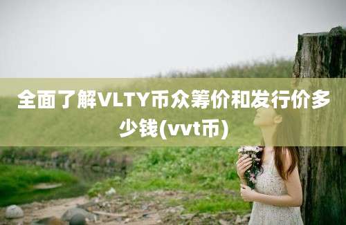 全面了解VLTY币众筹价和发行价多少钱(vvt币)