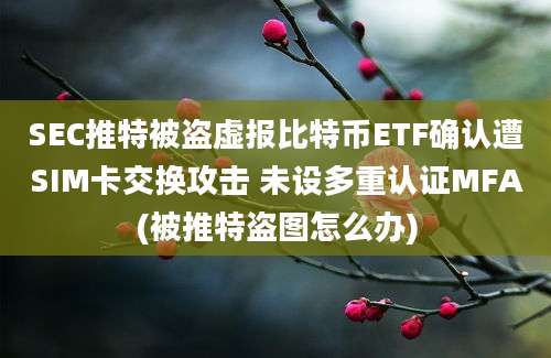 SEC推特被盗虚报比特币ETF确认遭SIM卡交换攻击 未设多重认证MFA(被推特盗图怎么办)