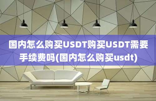 国内怎么购买USDT购买USDT需要手续费吗(国内怎么购买usdt)