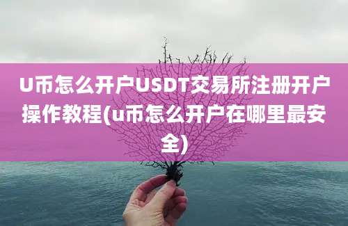 U币怎么开户USDT交易所注册开户操作教程(u币怎么开户在哪里最安全)