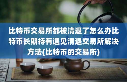 比特币交易所都被清退了怎么办比特币长期持有遇见清退交易所解决方法(比特币的交易所)