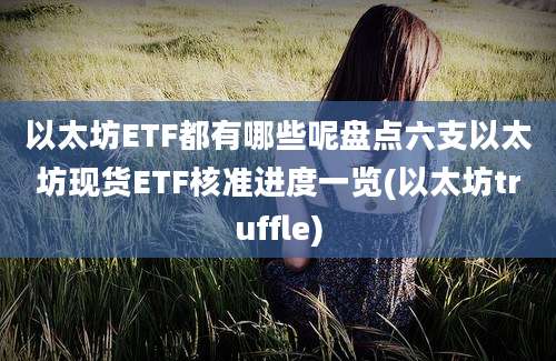 以太坊ETF都有哪些呢盘点六支以太坊现货ETF核准进度一览(以太坊truffle)