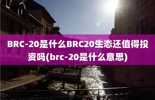 BRC-20是什么BRC20生态还值得投资吗(brc-20是什么意思)