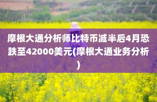 摩根大通分析师比特币减半后4月恐跌至42000美元(摩根大通业务分析)