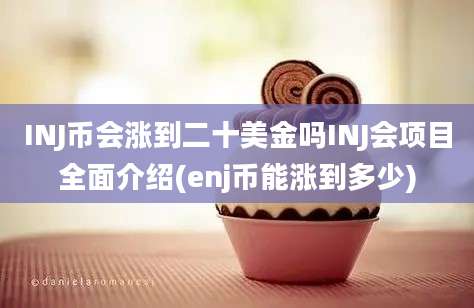 INJ币会涨到二十美金吗INJ会项目全面介绍(enj币能涨到多少)