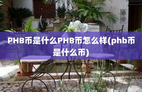 PHB币是什么PHB币怎么样(phb币是什么币)