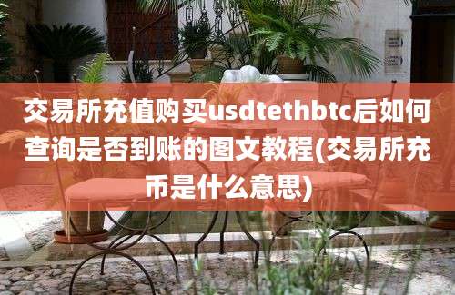 交易所充值购买usdtethbtc后如何查询是否到账的图文教程(交易所充币是什么意思)