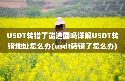 USDT转错了能追回吗详解USDT转错地址怎么办(usdt转错了怎么办)