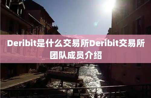 Deribit是什么交易所Deribit交易所团队成员介绍