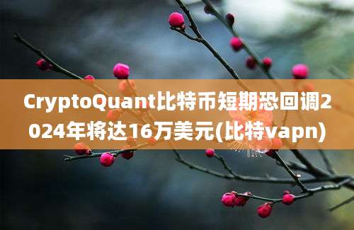 CryptoQuant比特币短期恐回调2024年将达16万美元(比特vapn)