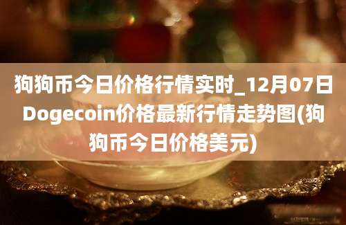 狗狗币今日价格行情实时_12月07日Dogecoin价格最新行情走势图(狗狗币今日价格美元)