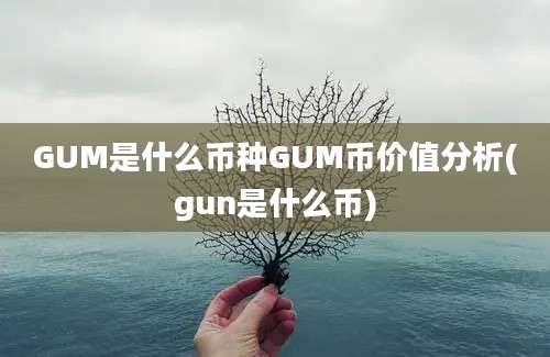 GUM是什么币种GUM币价值分析(gun是什么币)