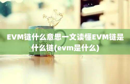 EVM链什么意思一文读懂EVM链是什么链(evm是什么)