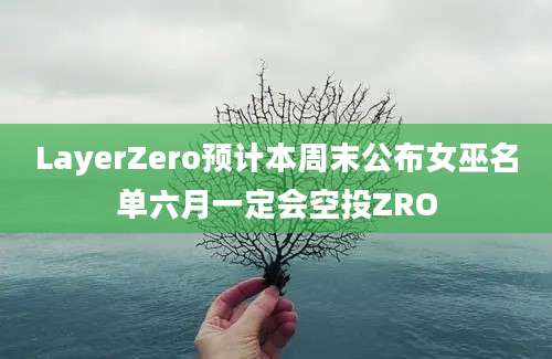 LayerZero预计本周末公布女巫名单六月一定会空投ZRO