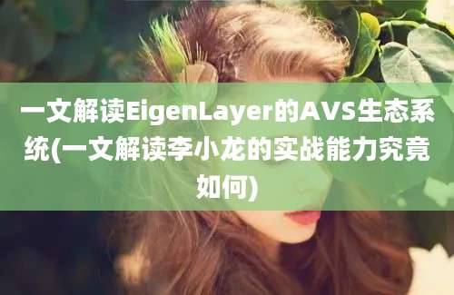 一文解读EigenLayer的AVS生态系统(一文解读李小龙的实战能力究竟如何)