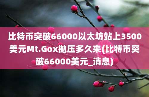 比特币突破66000以太坊站上3500美元Mt.Gox抛压多久来(比特币突破66000美元_消息)