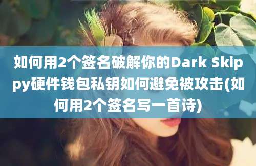 如何用2个签名破解你的Dark Skippy硬件钱包私钥如何避免被攻击(如何用2个签名写一首诗)