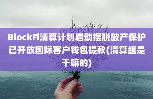 BlockFi清算计划启动摆脱破产保护已开放国际客户钱包提款(清算组是干嘛的)