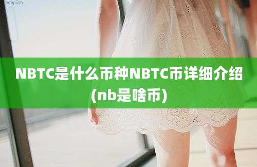 NBTC是什么币种NBTC币详细介绍(nb是啥币)