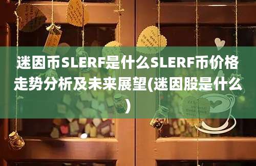 迷因币SLERF是什么SLERF币价格走势分析及未来展望(迷因股是什么)