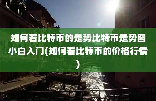 如何看比特币的走势比特币走势图小白入门(如何看比特币的价格行情)