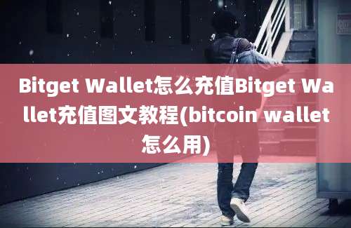 Bitget Wallet怎么充值Bitget Wallet充值图文教程(bitcoin wallet怎么用)