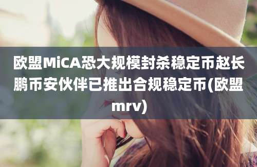 欧盟MiCA恐大规模封杀稳定币赵长鹏币安伙伴已推出合规稳定币(欧盟mrv)