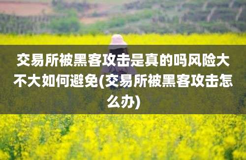 交易所被黑客攻击是真的吗风险大不大如何避免(交易所被黑客攻击怎么办)