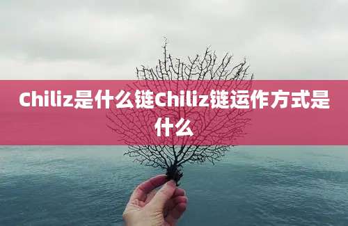 Chiliz是什么链Chiliz链运作方式是什么