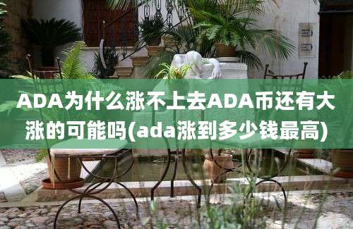 ADA为什么涨不上去ADA币还有大涨的可能吗(ada涨到多少钱最高)