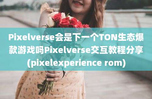 Pixelverse会是下一个TON生态爆款游戏吗Pixelverse交互教程分享(pixelexperience rom)