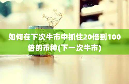 如何在下次牛市中抓住20倍到100倍的币种(下一次牛市)