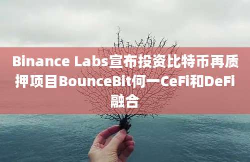 Binance Labs宣布投资比特币再质押项目BounceBit何一CeFi和DeFi融合