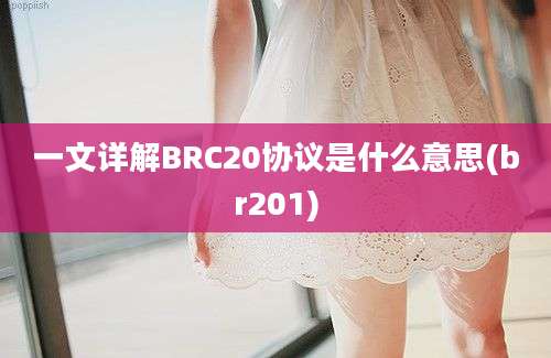 一文详解BRC20协议是什么意思(br201)