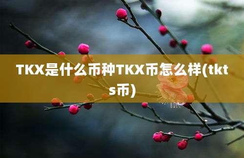 TKX是什么币种TKX币怎么样(tkts币)