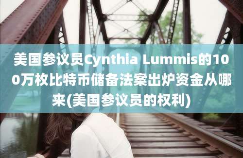 美国参议员Cynthia Lummis的100万枚比特币储备法案出炉资金从哪来(美国参议员的权利)