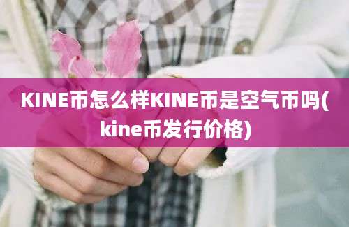 KINE币怎么样KINE币是空气币吗(kine币发行价格)