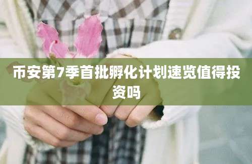 币安第7季首批孵化计划速览值得投资吗