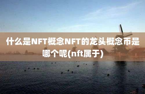 什么是NFT概念NFT的龙头概念币是哪个呢(nft属于)