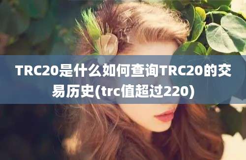 TRC20是什么如何查询TRC20的交易历史(trc值超过220)