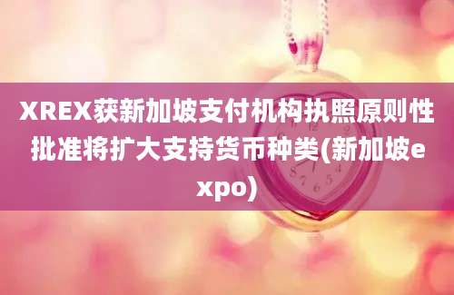 XREX获新加坡支付机构执照原则性批准将扩大支持货币种类(新加坡expo)