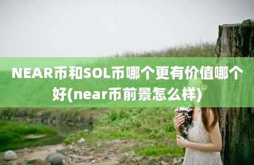 NEAR币和SOL币哪个更有价值哪个好(near币前景怎么样)