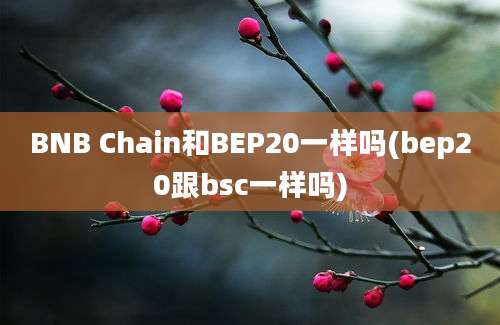 BNB Chain和BEP20一样吗(bep20跟bsc一样吗)