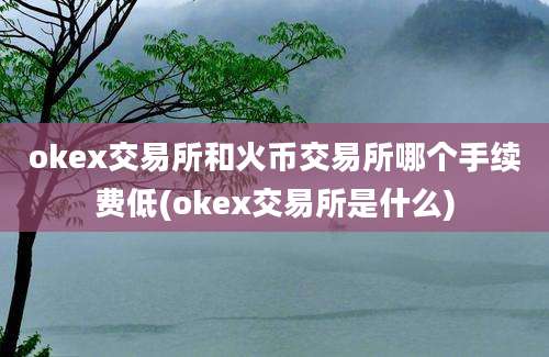 okex交易所和火币交易所哪个手续费低(okex交易所是什么)