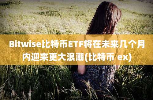 Bitwise比特币ETF将在未来几个月内迎来更大浪潮(比特币 ex)