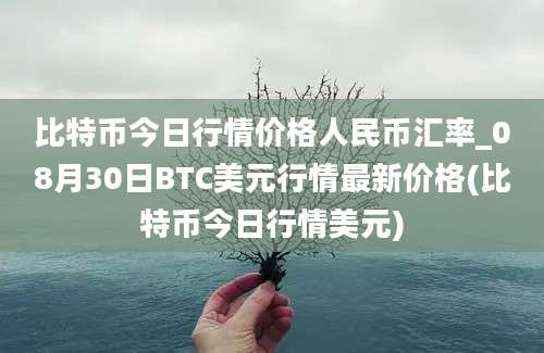 比特币今日行情价格人民币汇率_08月30日BTC美元行情最新价格(比特币今日行情美元)