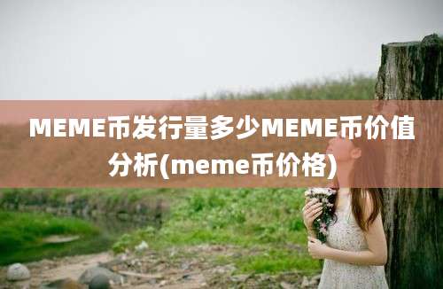 MEME币发行量多少MEME币价值分析(meme币价格)