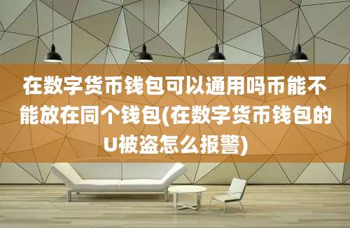 在数字货币钱包可以通用吗币能不能放在同个钱包(在数字货币钱包的U被盗怎么报警)